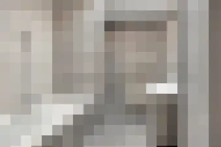 Brasem 20 Amersfoort thumbnail 4