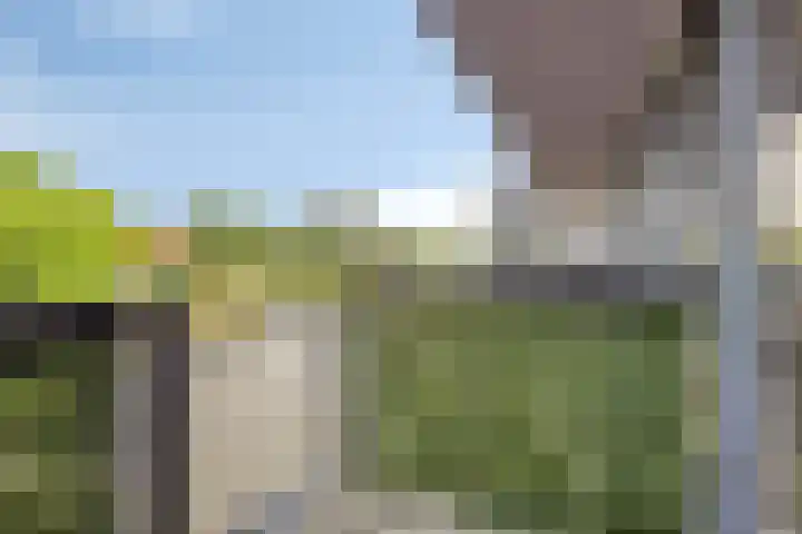 Brasem 20 Amersfoort thumbnail 40