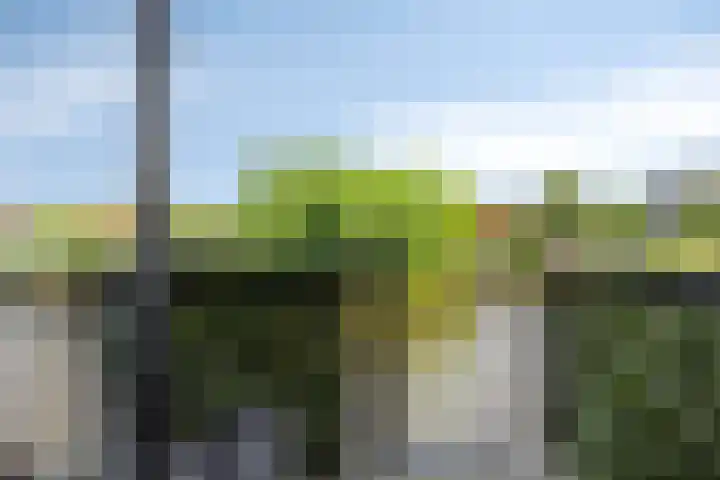 Brasem 20 Amersfoort thumbnail 41