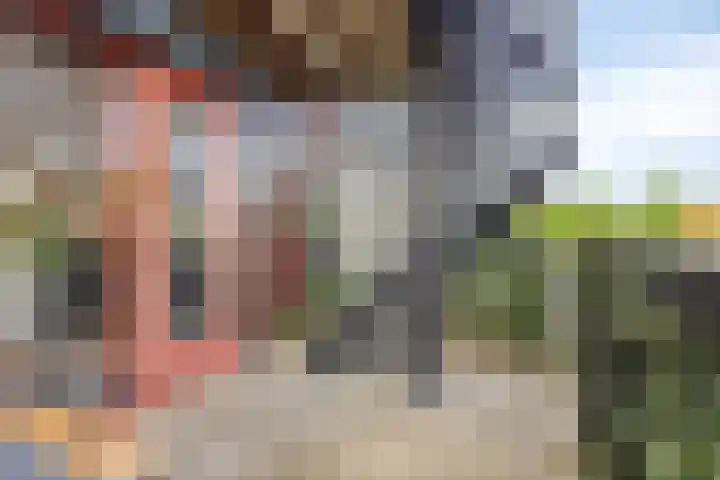 Brasem 20 Amersfoort thumbnail 42
