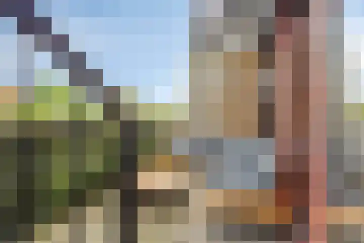 Brasem 20 Amersfoort thumbnail 43