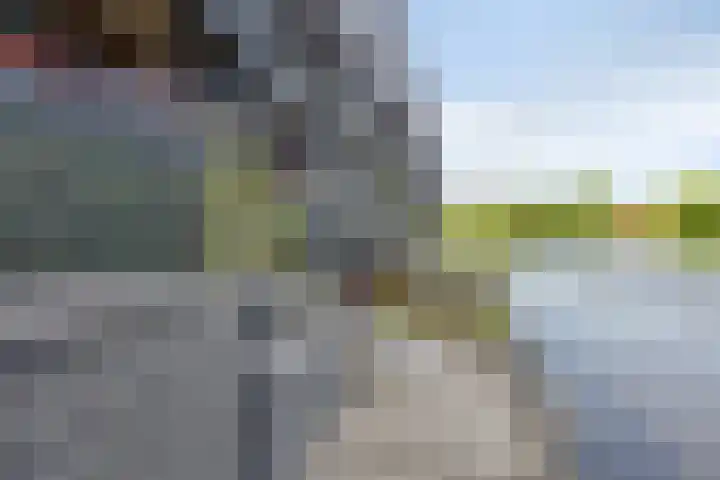 Brasem 20 Amersfoort thumbnail 44