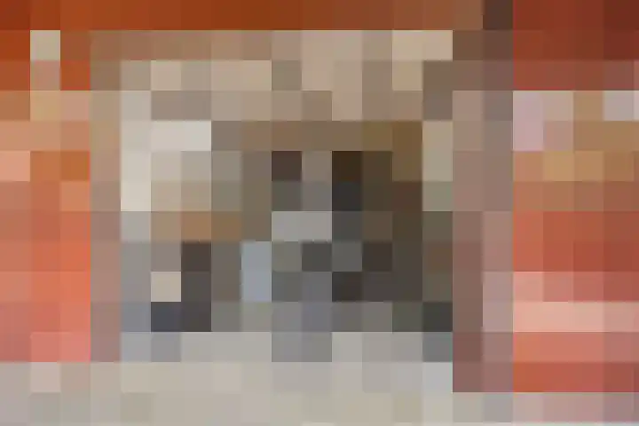 Brasem 20 Amersfoort thumbnail 46