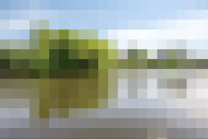 Brasem 20 Amersfoort thumbnail 47