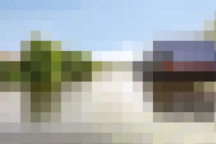 Brasem 20 Amersfoort thumbnail 48