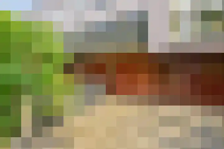 Brasem 20 Amersfoort thumbnail 49