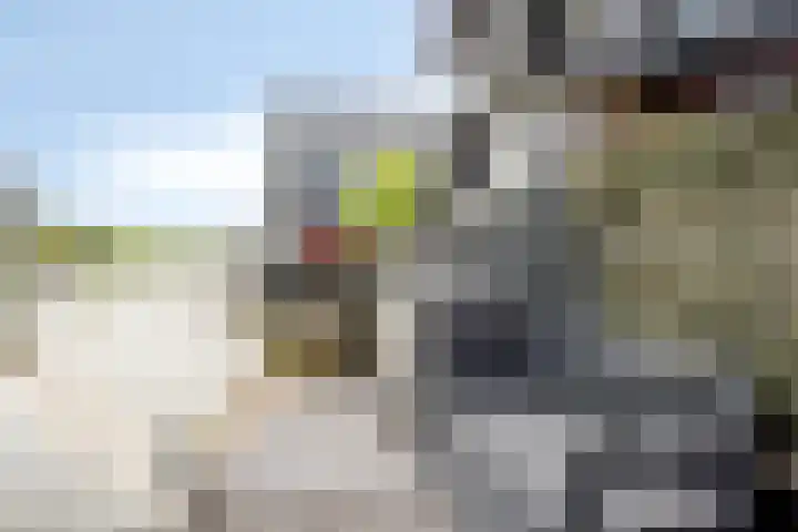 Brasem 20 Amersfoort thumbnail 5