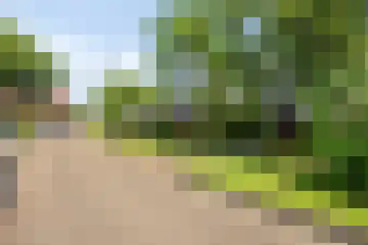 Brasem 20 Amersfoort thumbnail 51