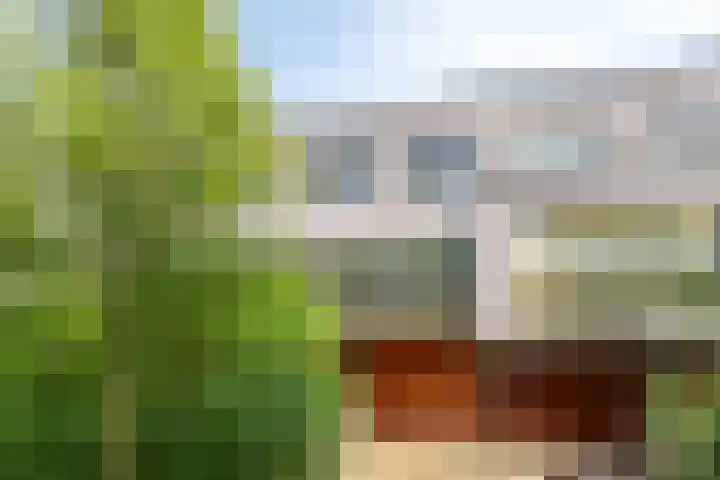 Brasem 20 Amersfoort thumbnail 55