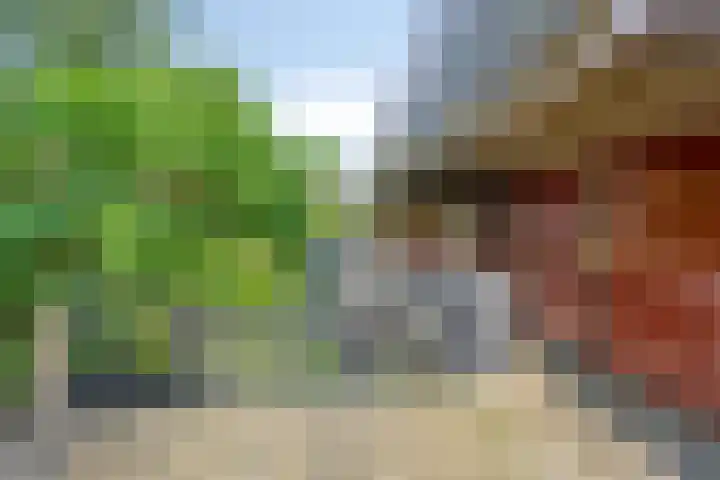 Brasem 20 Amersfoort thumbnail 6