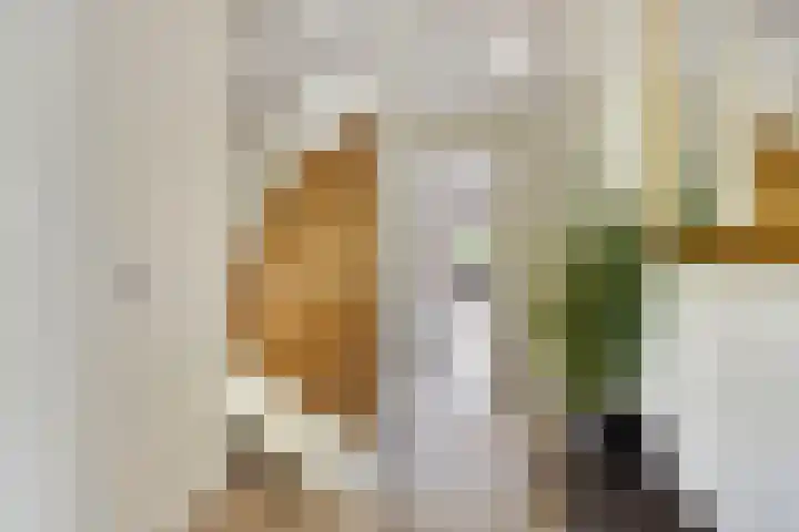 Brasem 20 Amersfoort thumbnail 7