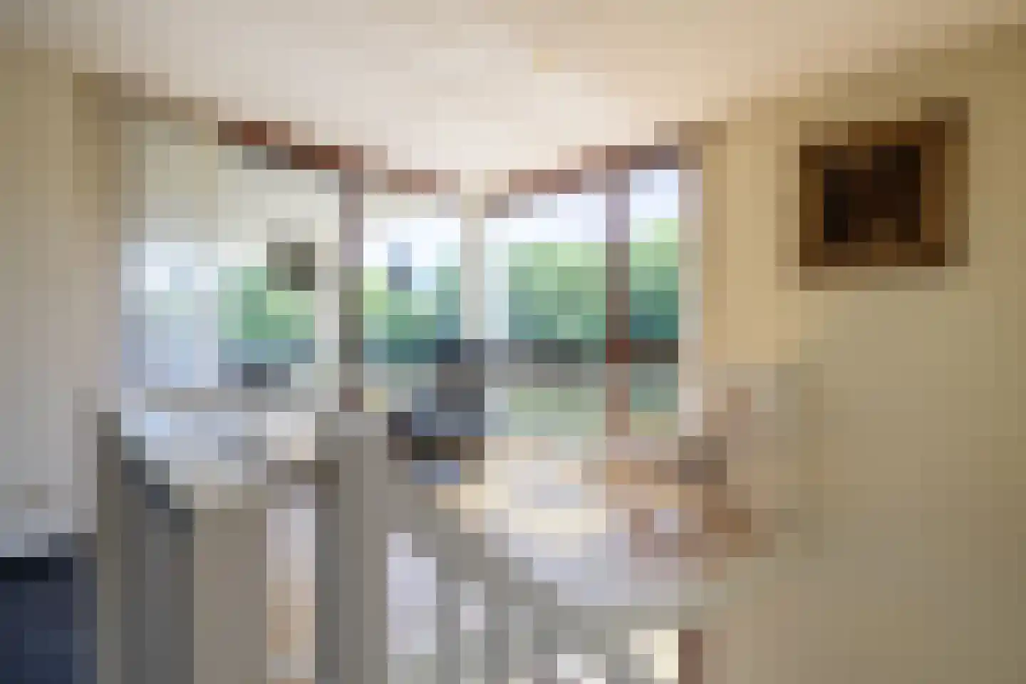 Brasem 206 Doetinchem thumbnail 11