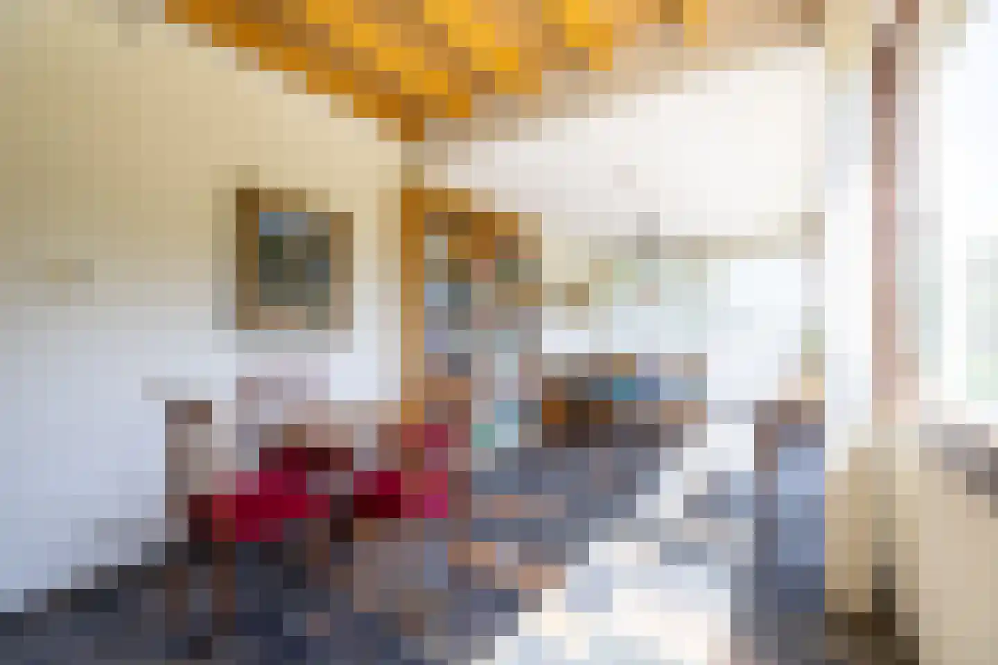 Brasem 206 Doetinchem thumbnail 13