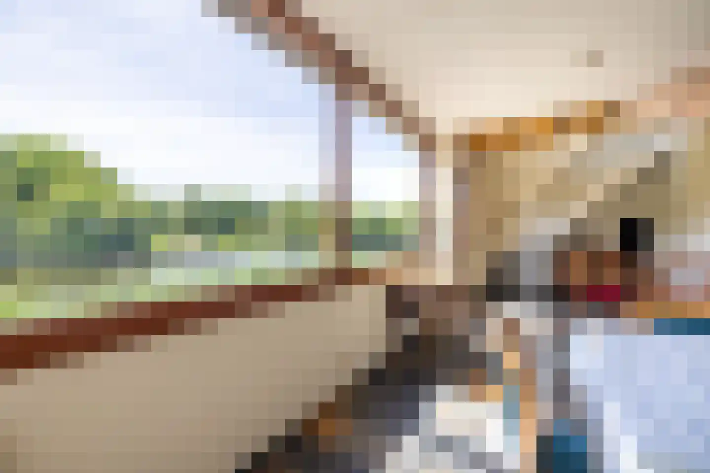 Brasem 206 Doetinchem thumbnail 16