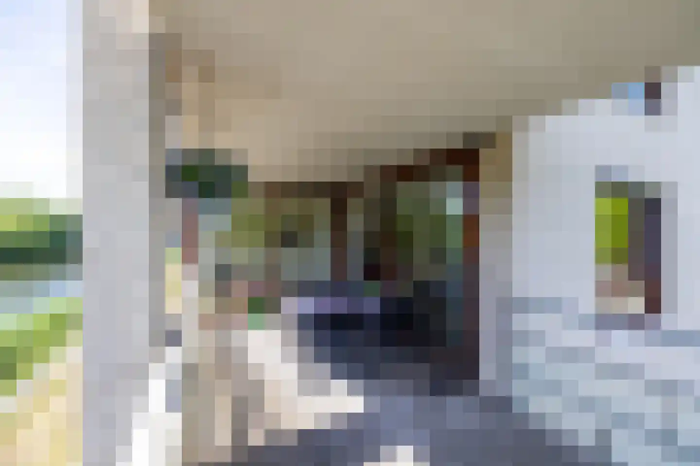 Brasem 206 Doetinchem thumbnail 17