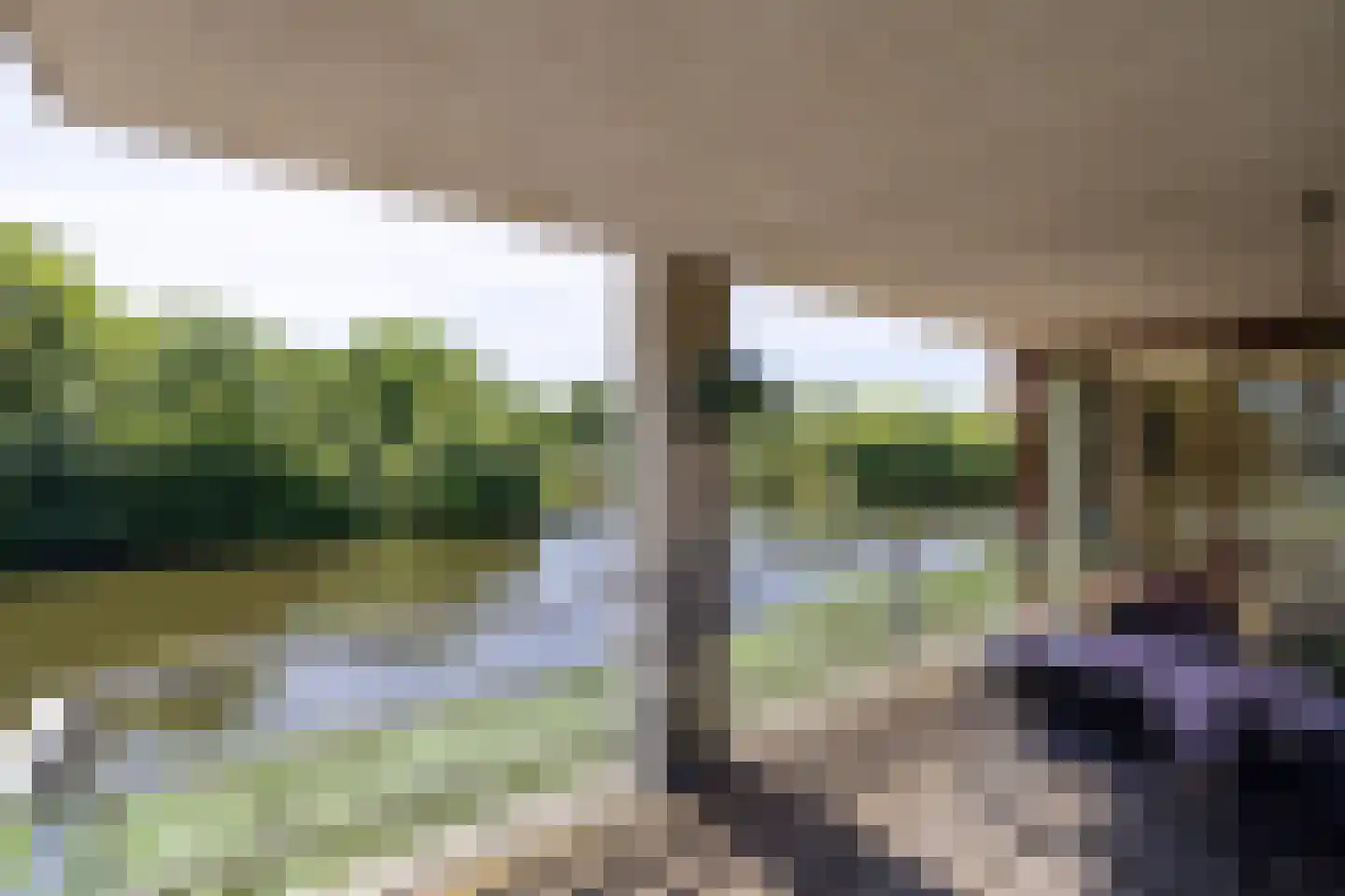 Brasem 206 Doetinchem thumbnail 18