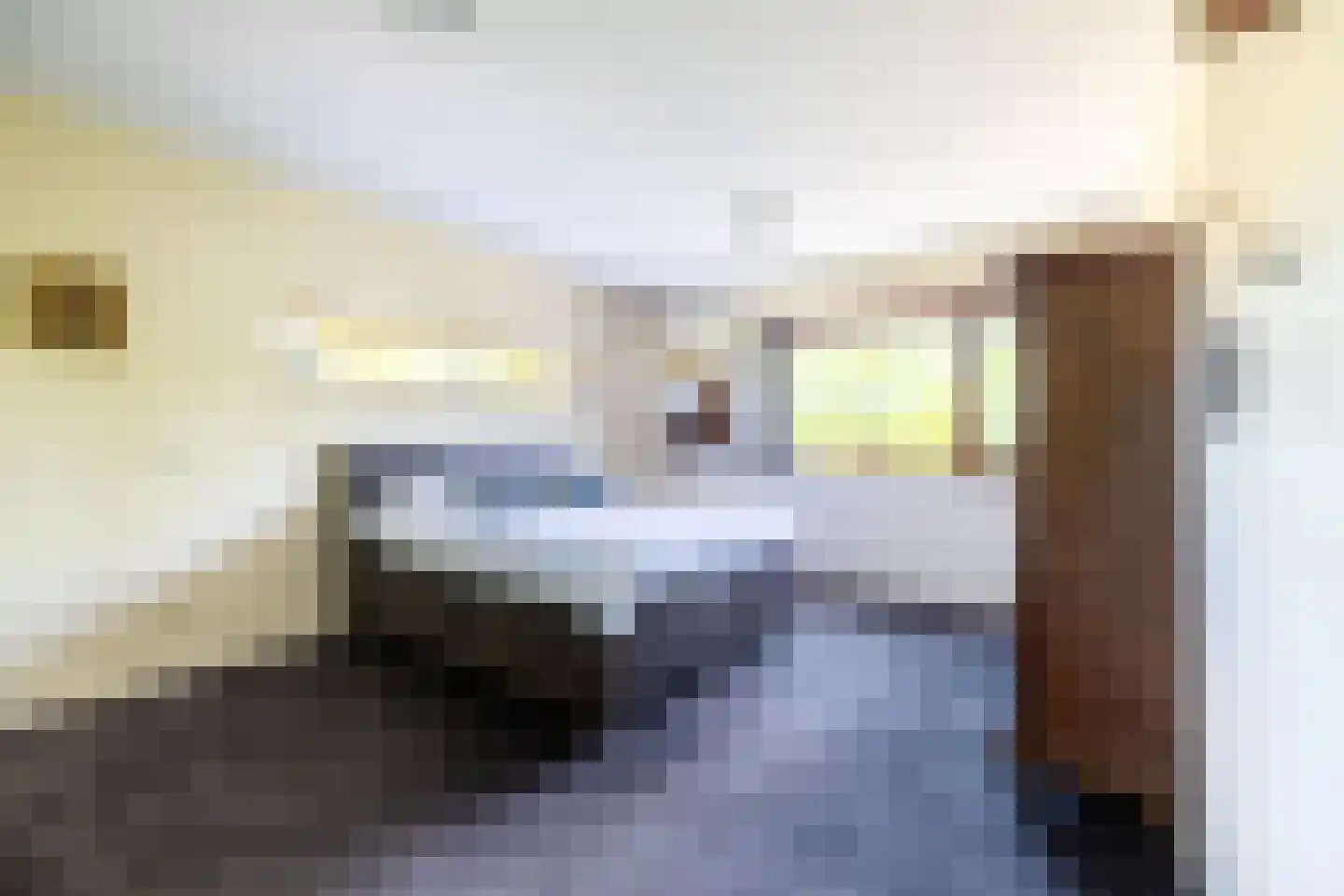 Brasem 206 Doetinchem thumbnail 29