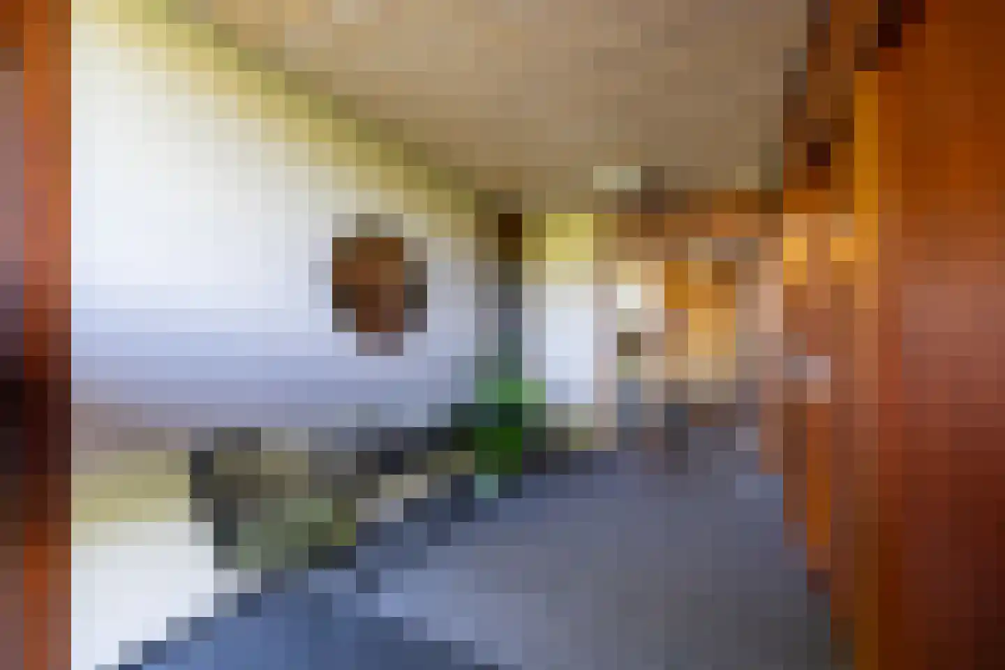 Brasem 206 Doetinchem thumbnail 45