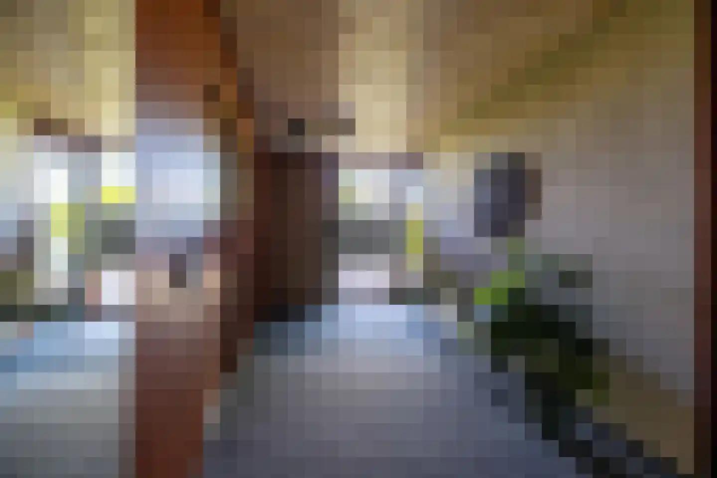 Brasem 206 Doetinchem thumbnail 46