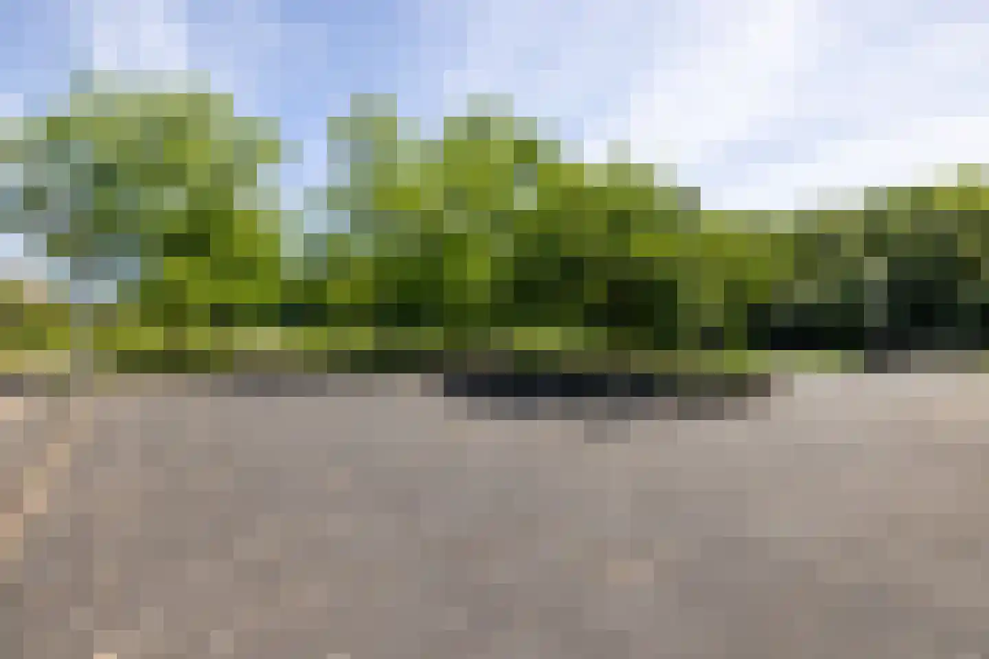 Brasem 206 Doetinchem thumbnail 53