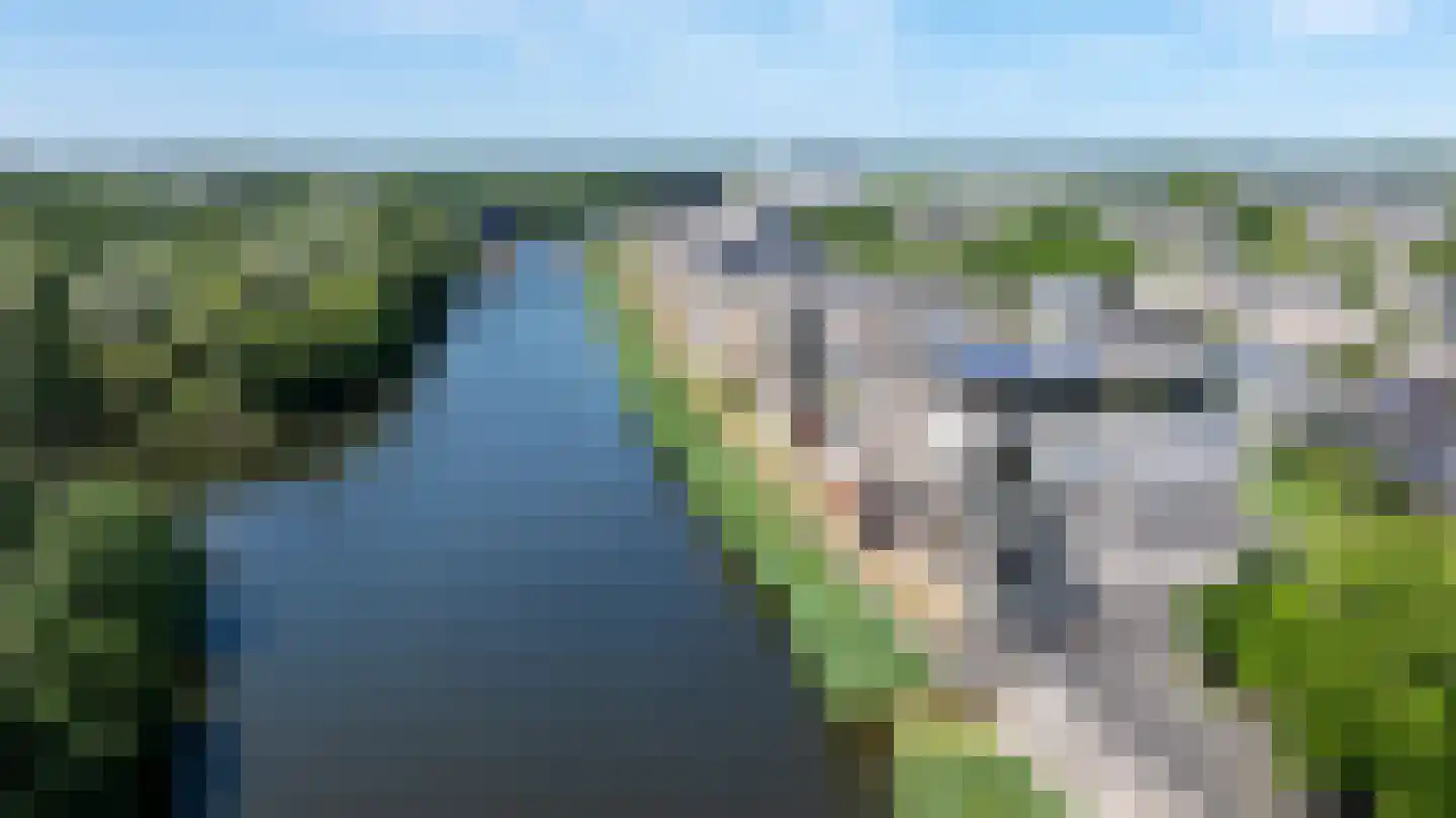 Brasem 206 Doetinchem thumbnail 56