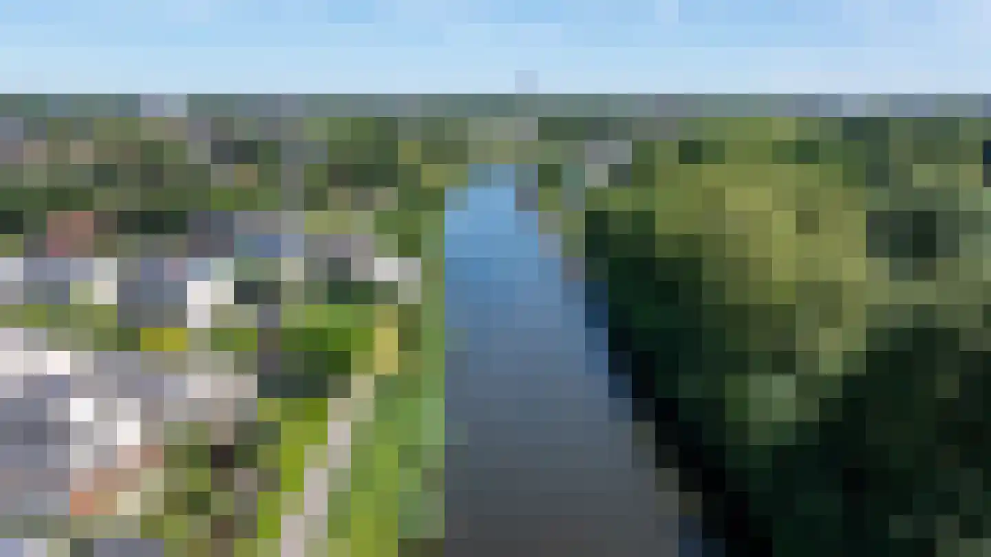 Brasem 206 Doetinchem thumbnail 61