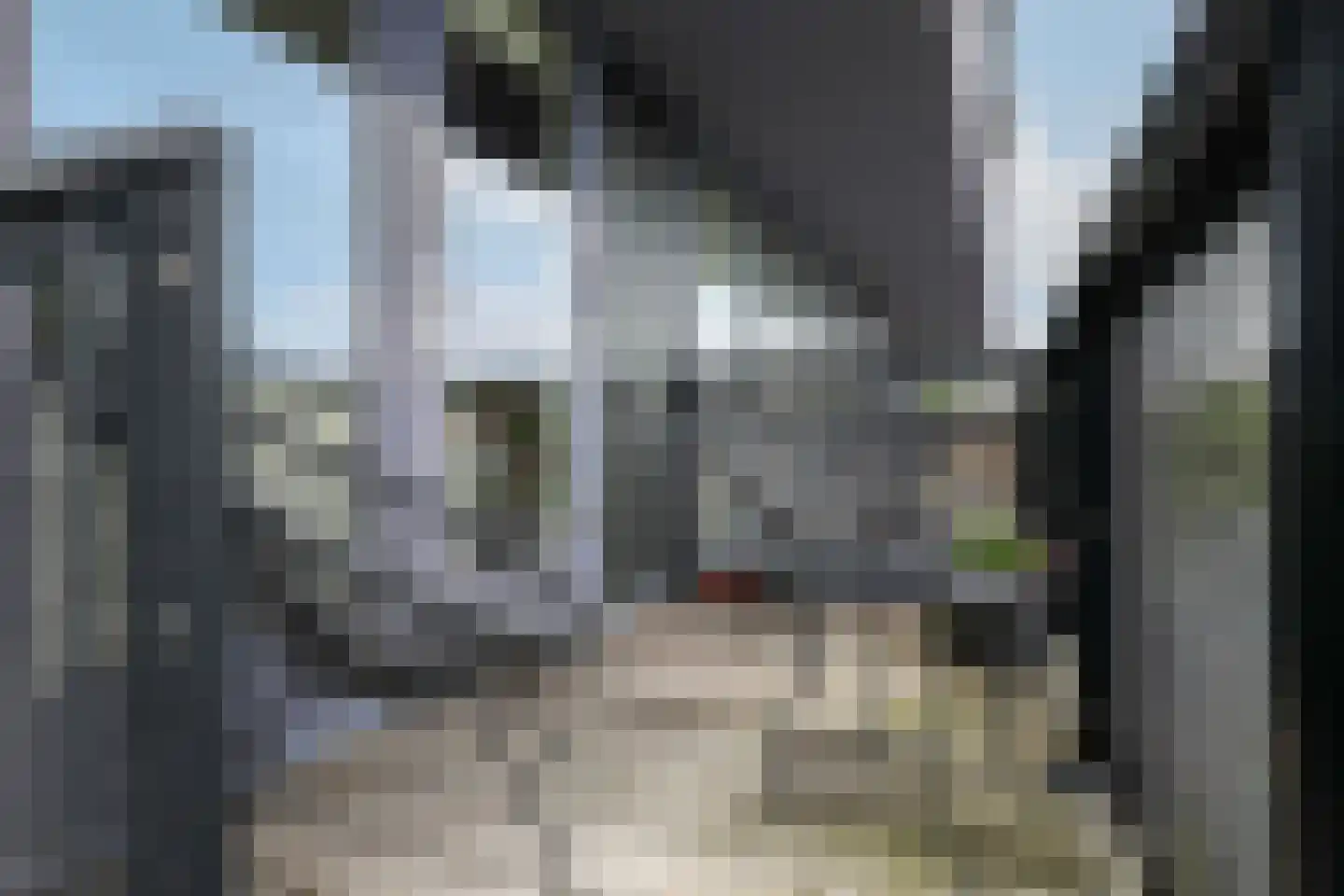 Brasem 28 Amersfoort thumbnail 18