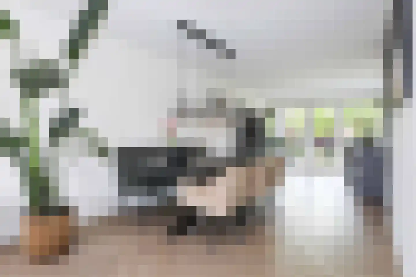 Brasem 28 Amersfoort thumbnail 20