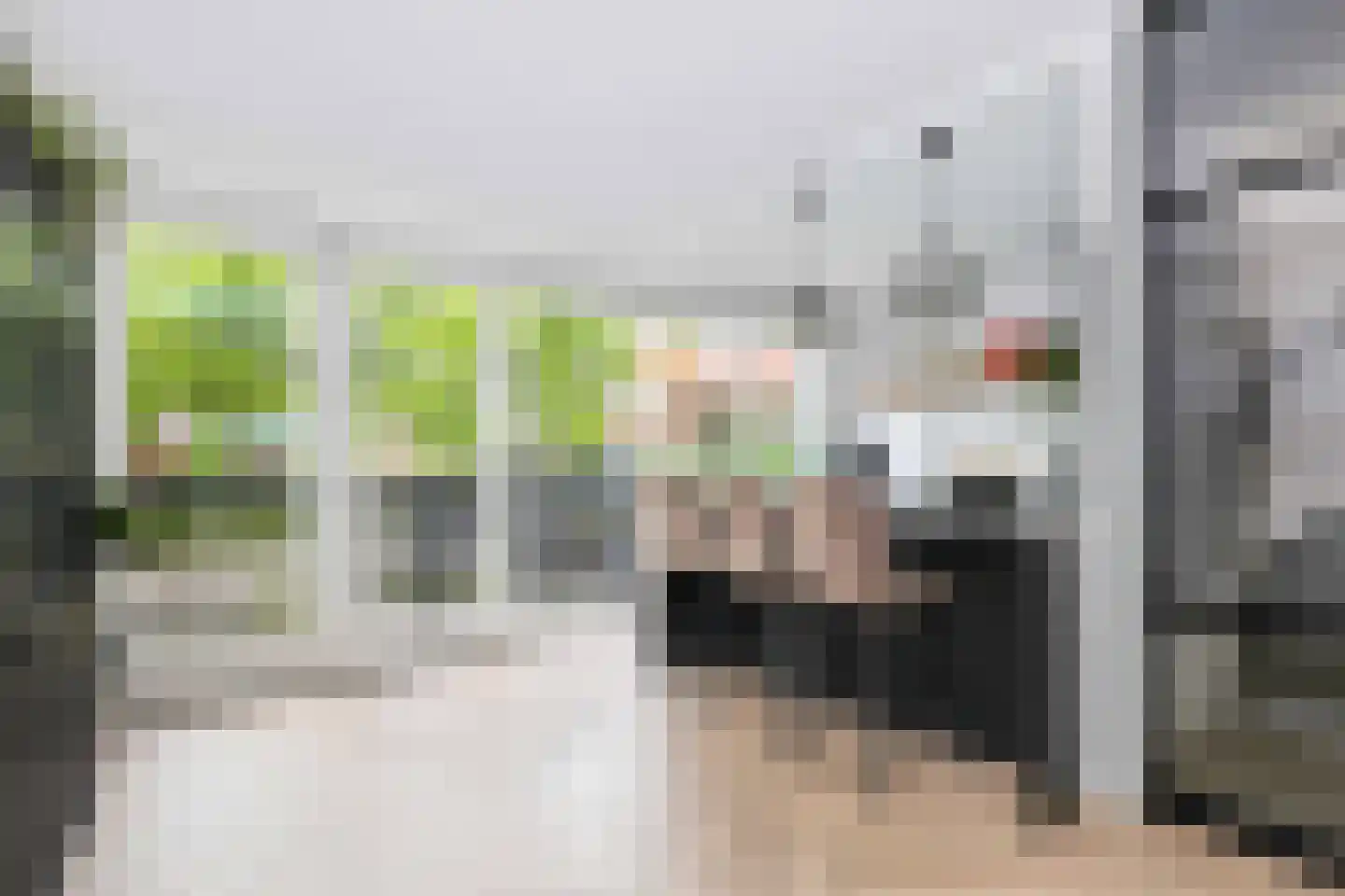 Brasem 28 Amersfoort thumbnail 21