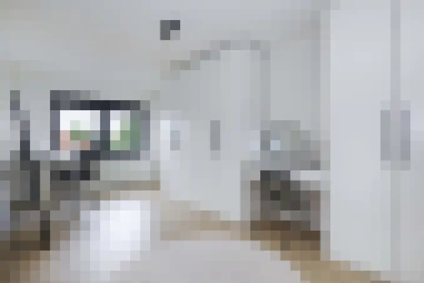 Brasem 28 Amersfoort thumbnail 32