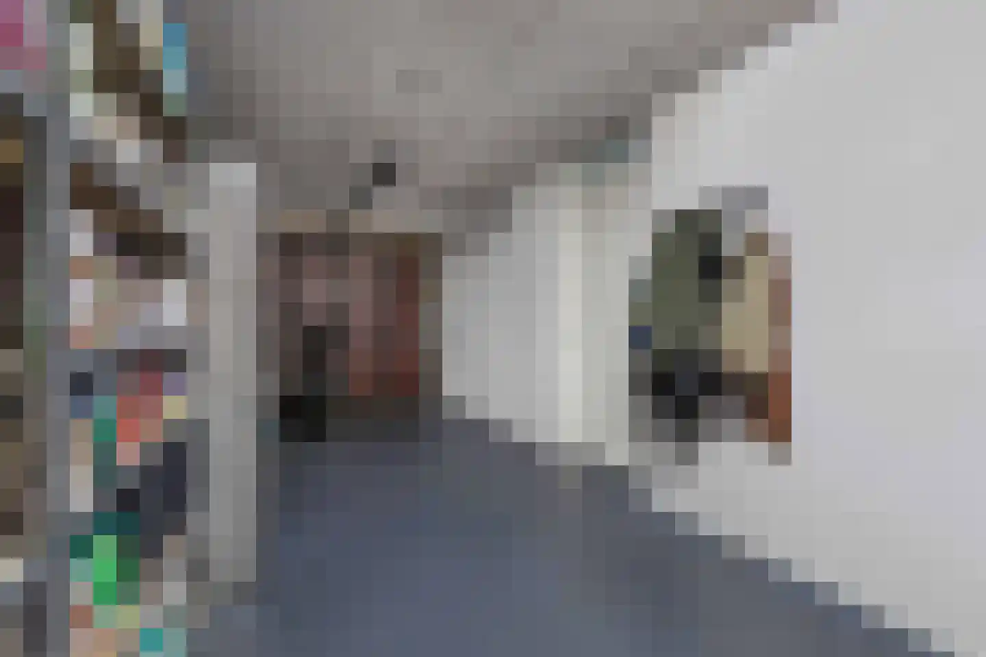 Brasem 28 Amersfoort thumbnail 37