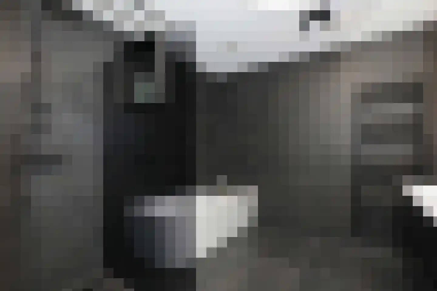 Brasem 28 Amersfoort thumbnail 4