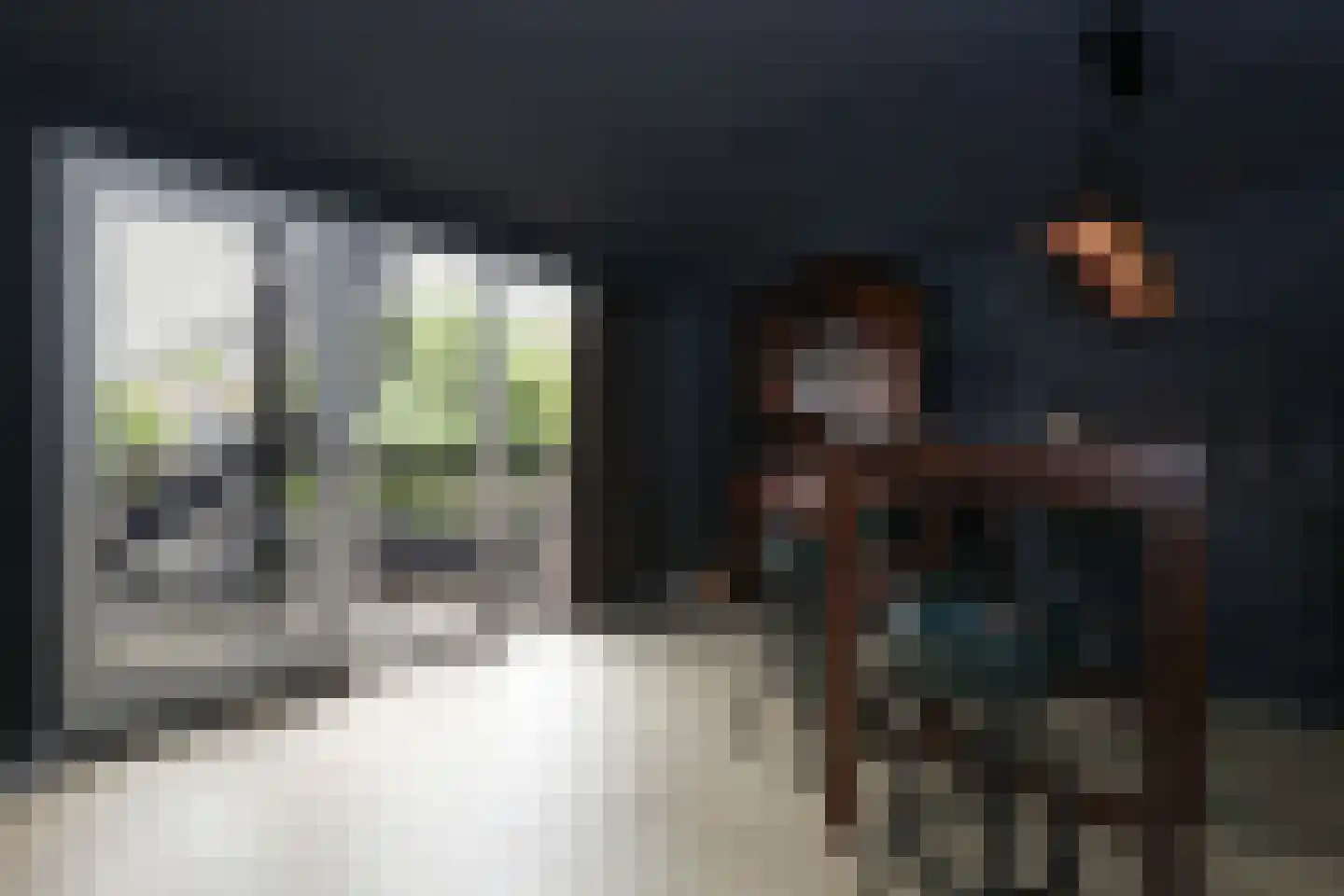 Brasem 28 Amersfoort thumbnail 8