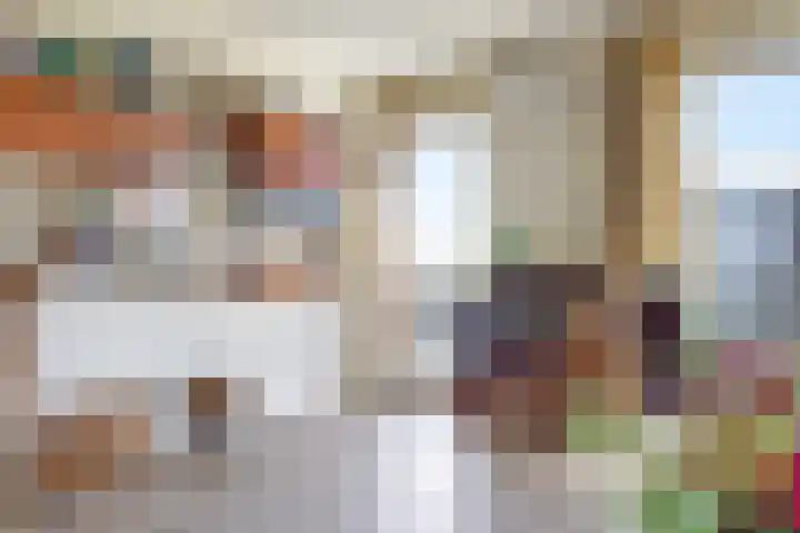 Brasem 36 Doetinchem thumbnail 18