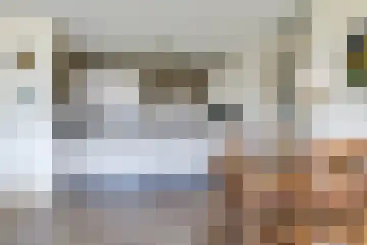 Brasem 36 Doetinchem thumbnail 22