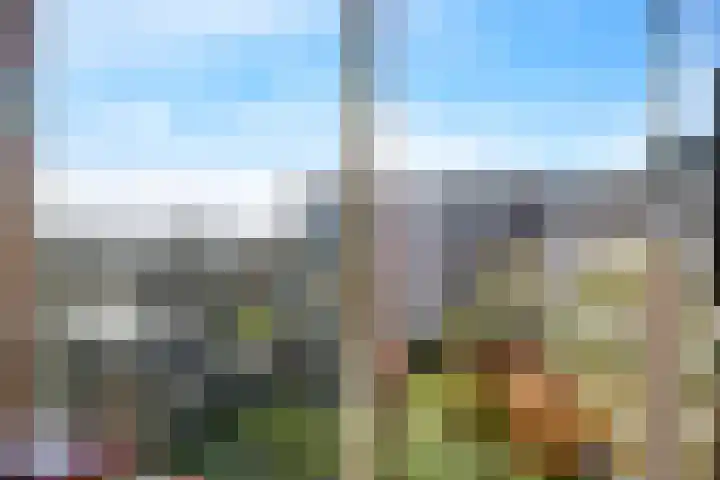 Brasem 36 Doetinchem thumbnail 37