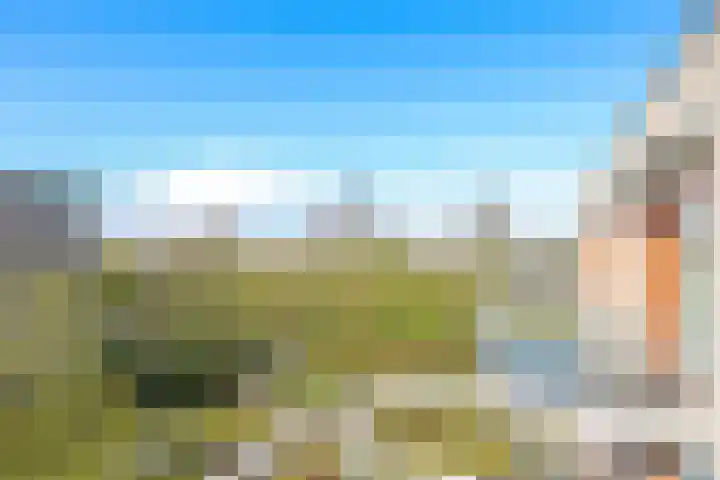 Brasem 36 Doetinchem thumbnail 39