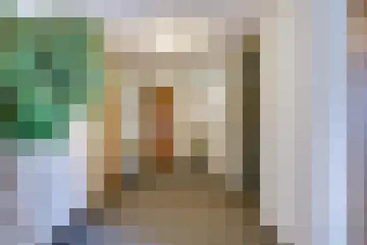 Brasem 36 Doetinchem thumbnail 9