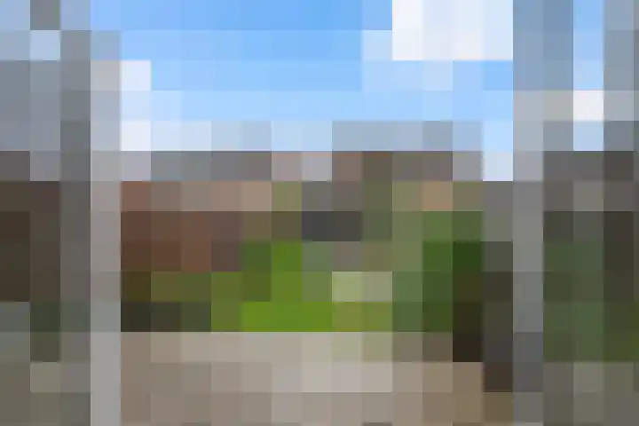 Brasem 37 Hendrik-Ido-Ambacht thumbnail 12