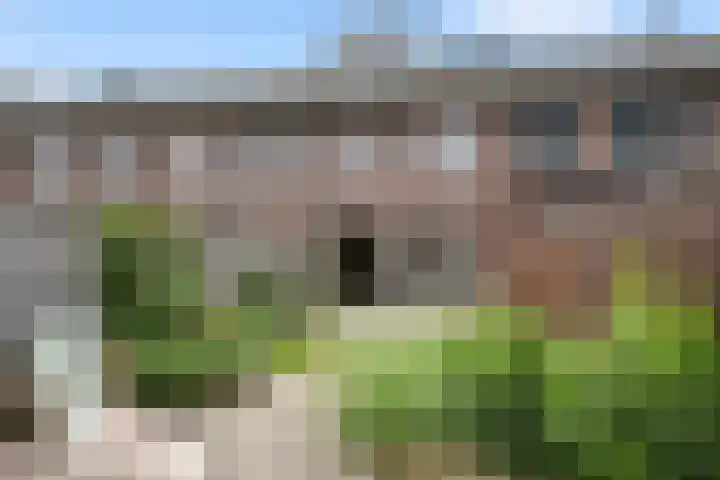 Brasem 37 Hendrik-Ido-Ambacht thumbnail 13