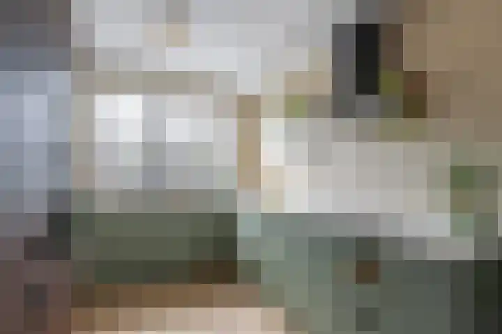 Brasem 37 Hendrik-Ido-Ambacht thumbnail 15