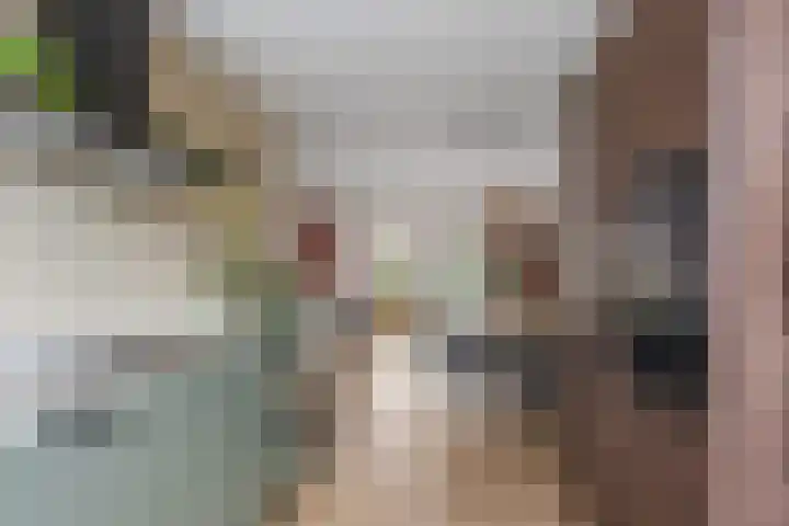 Brasem 37 Hendrik-Ido-Ambacht thumbnail 16