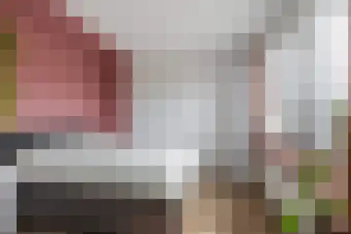 Brasem 37 Hendrik-Ido-Ambacht thumbnail 20