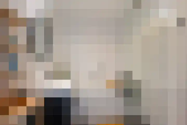 Brasem 37 Hendrik-Ido-Ambacht thumbnail 25