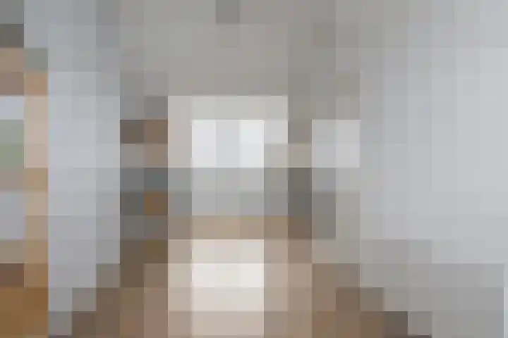 Brasem 37 Hendrik-Ido-Ambacht thumbnail 31