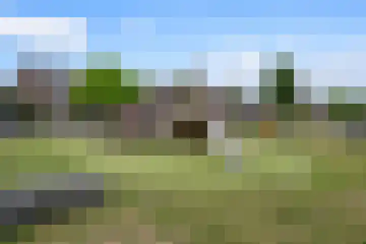 Brasem 37 Hendrik-Ido-Ambacht thumbnail 33