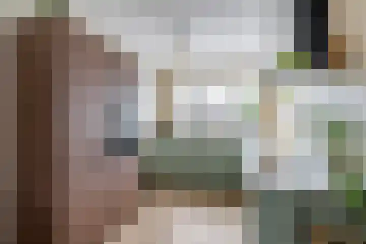 Brasem 37 Hendrik-Ido-Ambacht thumbnail 4