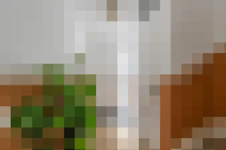 Brasem 37 Hendrik-Ido-Ambacht thumbnail 5
