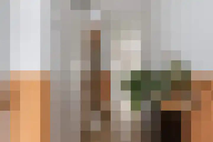 Brasem 37 Hendrik-Ido-Ambacht thumbnail 6
