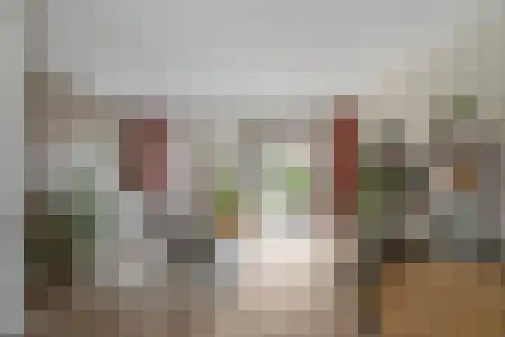 Brasem 37 Hendrik-Ido-Ambacht thumbnail 8